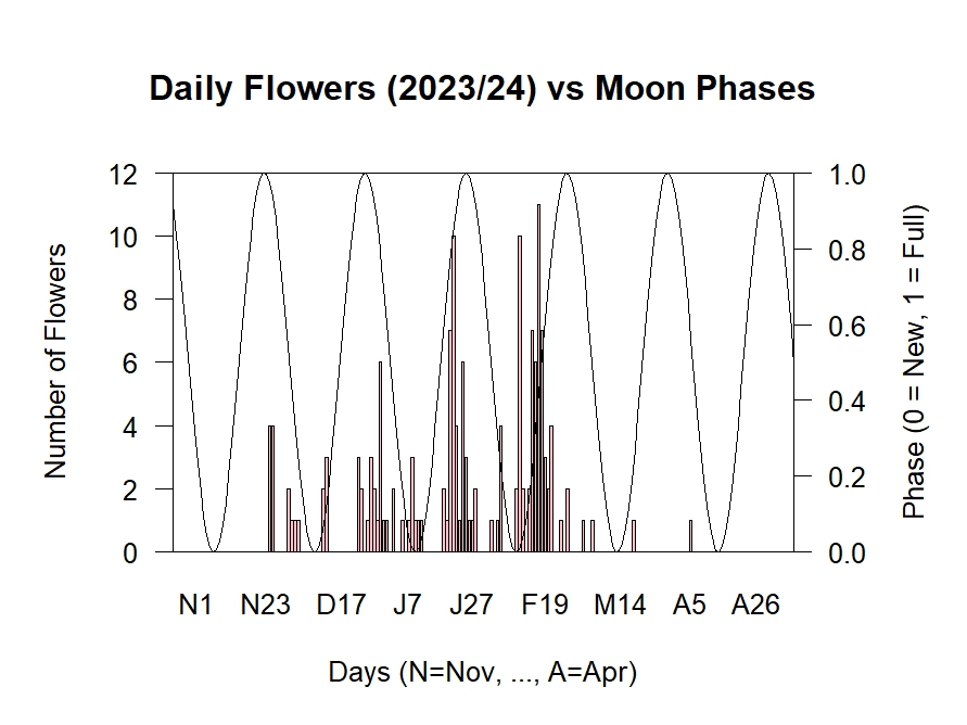 Flowers vs Moon Phases 2023/24